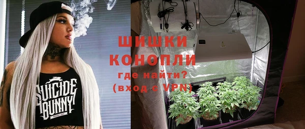 твердый Армянск