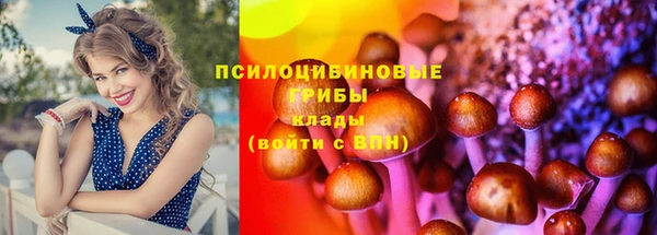 мяу мяу мука Арсеньев