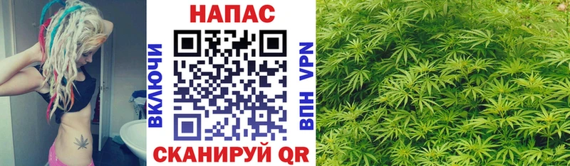 наркотики  Заозёрск  Канабис Amnesia 